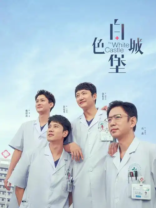 双城谜案 刑侦剧海报